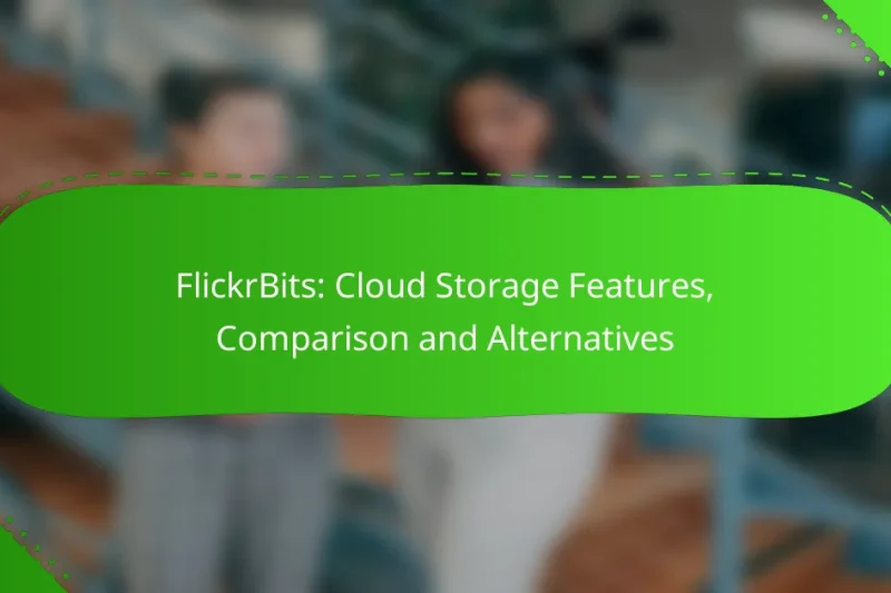 FlickrBits: Cloud Storage Features, Comparison and Alternatives