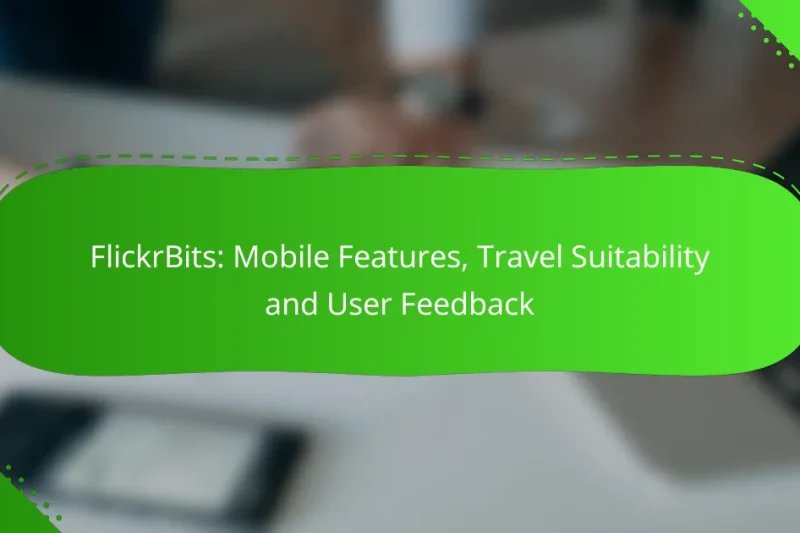 FlickrBits: Mobile Features, Travel Suitability and User Feedback