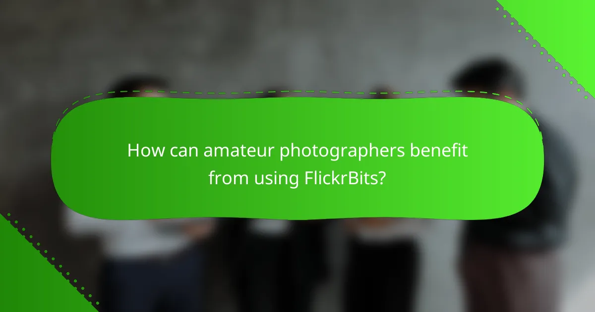 How can amateur photographers benefit from using FlickrBits?