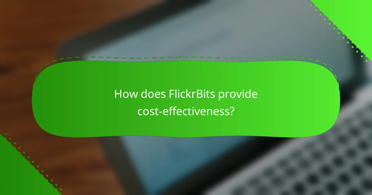 How does FlickrBits provide cost-effectiveness?