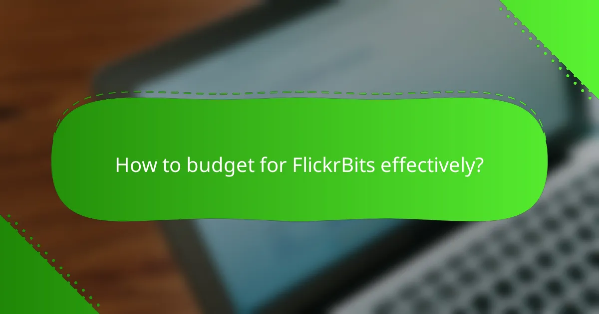 How to budget for FlickrBits effectively?