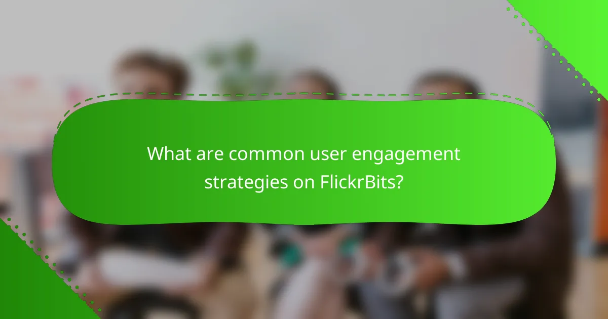 What are common user engagement strategies on FlickrBits?