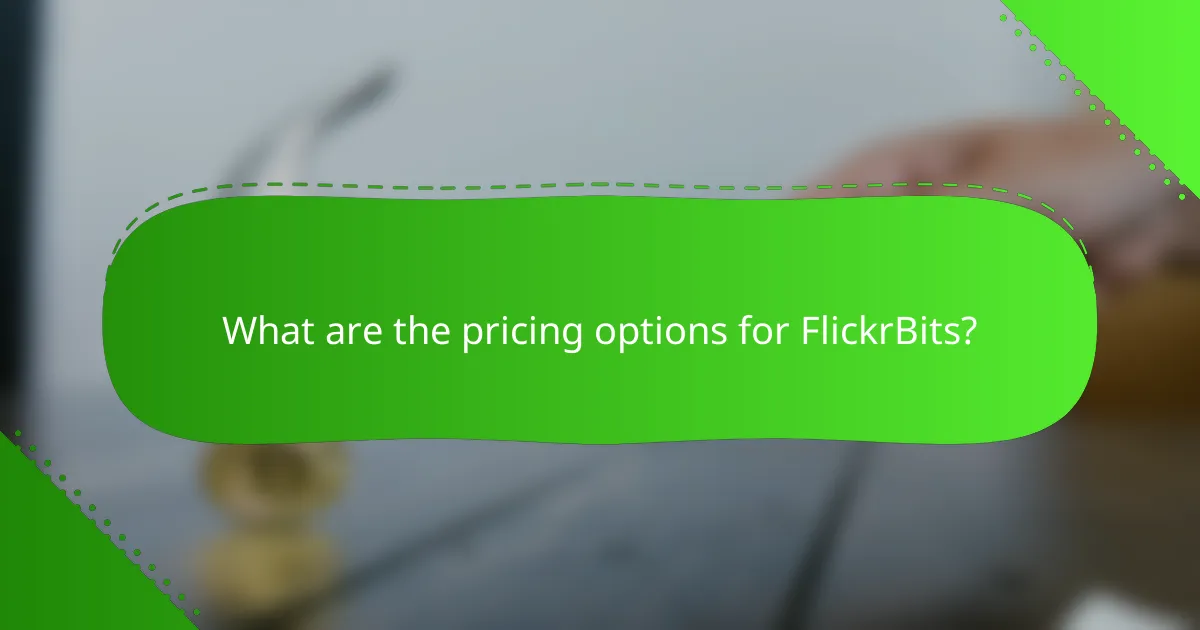 What are the pricing options for FlickrBits?