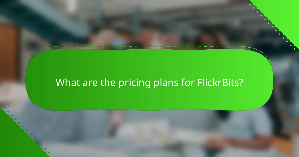 What are the pricing plans for FlickrBits?