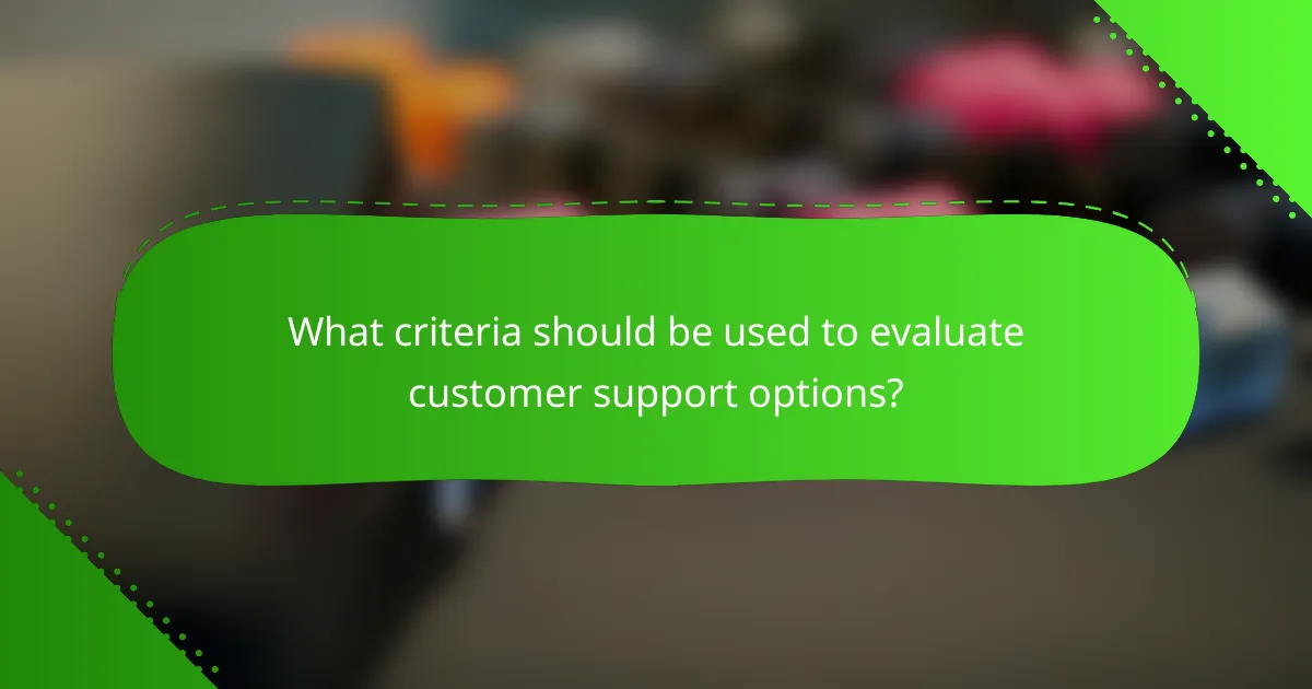 What criteria should be used to evaluate customer support options?