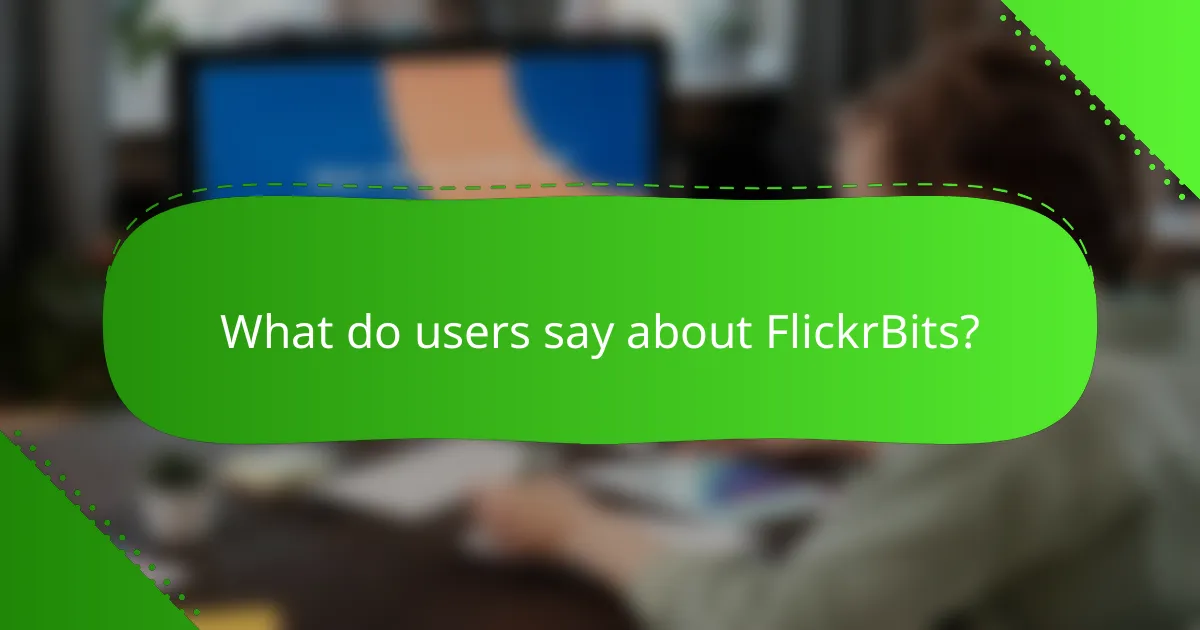 What do users say about FlickrBits?